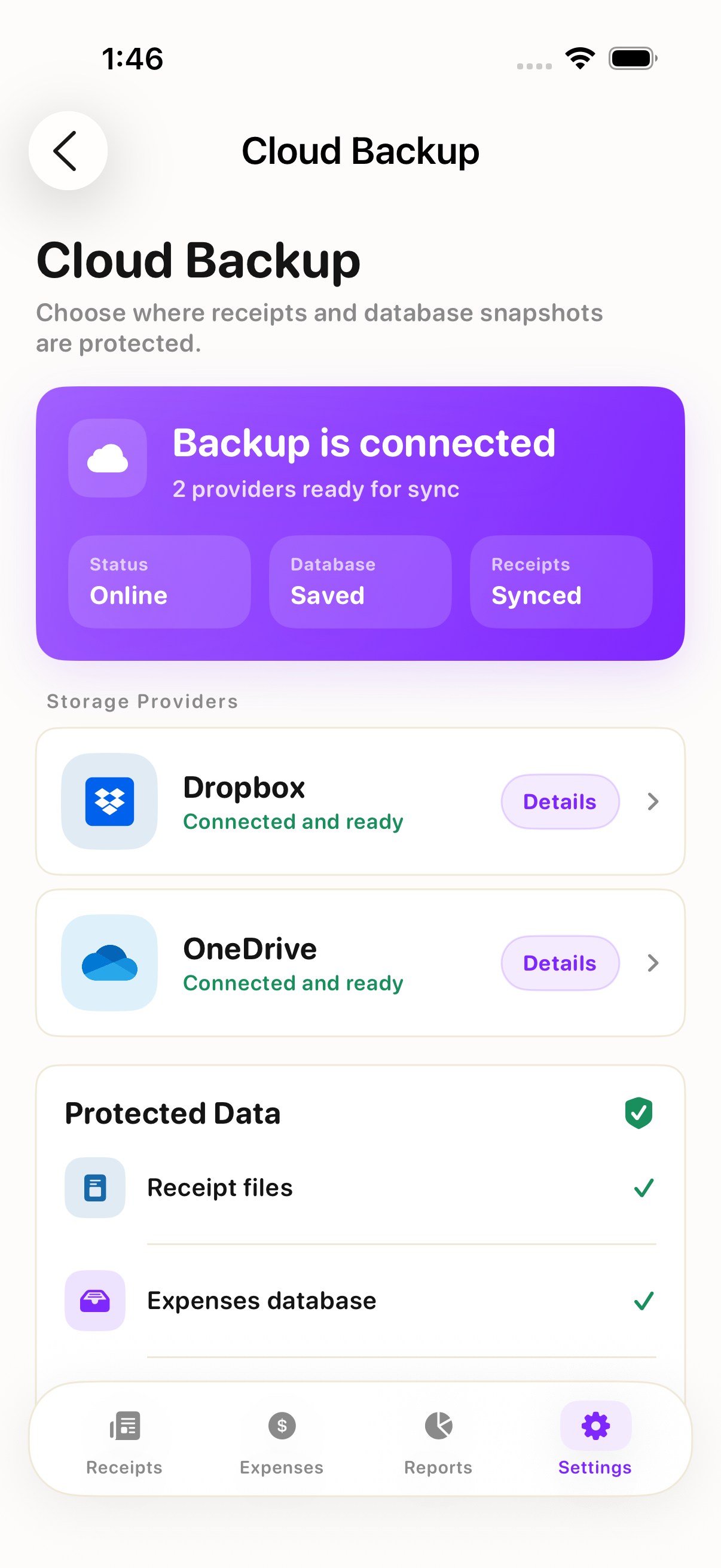 Smart Receipts cloud backup screen with larger accessibility text showing connected storage providers and protected receipt data