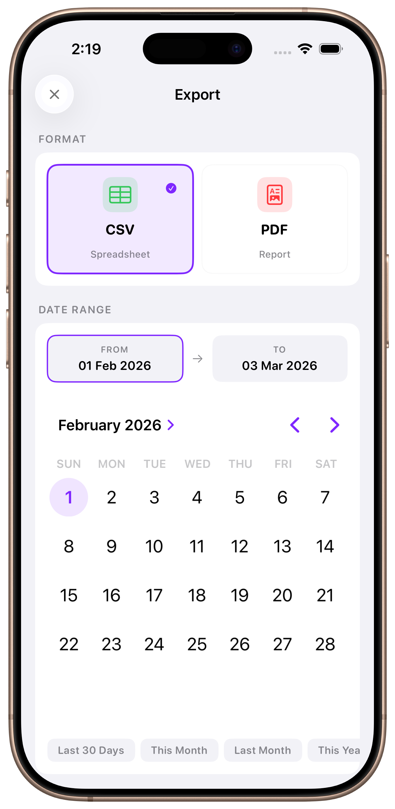 Export date range picker with calendar and quick presets